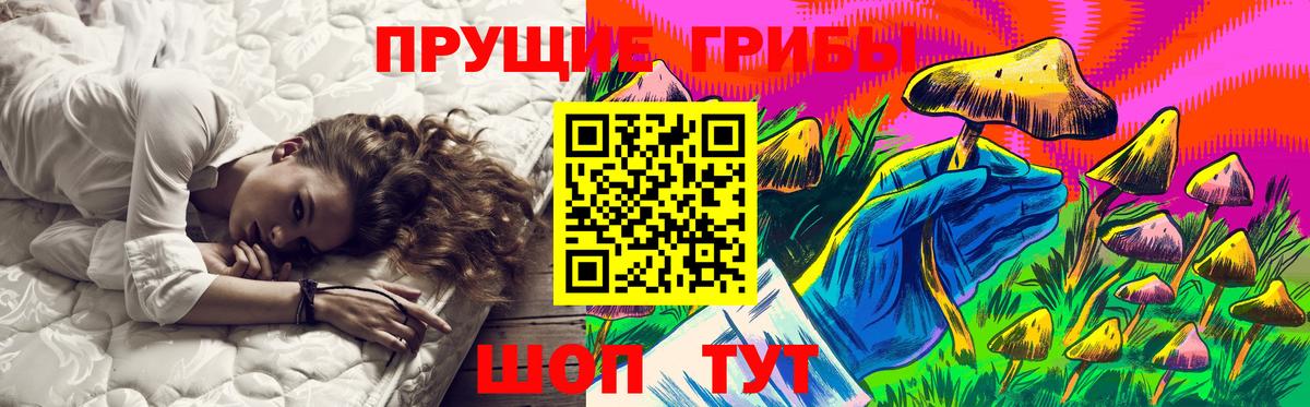 Кингисепп  Кокаин  Бошки Шишки  Метадон  Вход с VPN  Меф кристаллы  Гашиш 