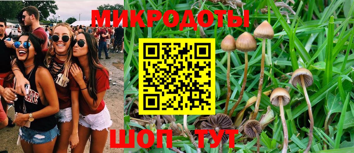 Кингисепп  Псилоцибиновые грибы ЛСД  Вход с VPN 
